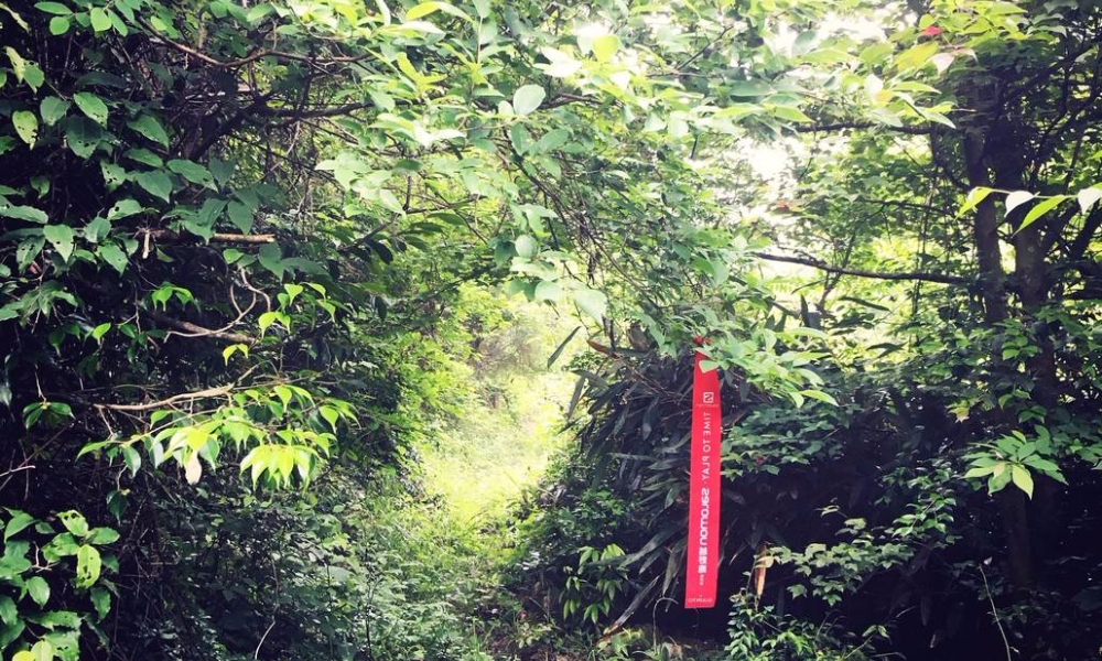 2018 良渚荣耀 | Salomon越野跑杭州站