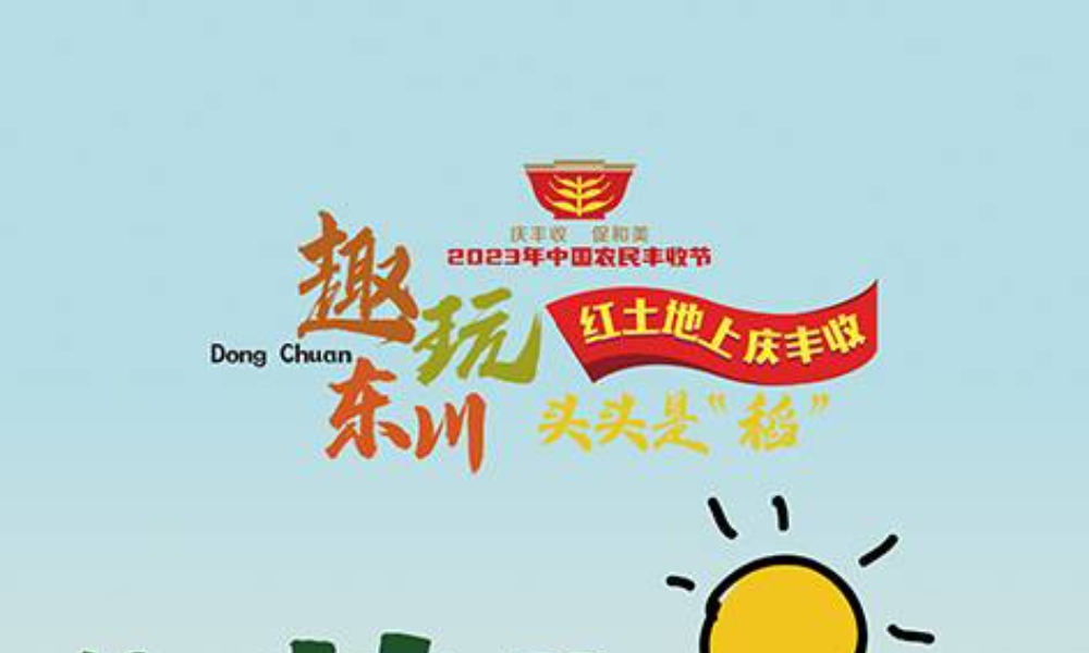 趣玩东川 头头是“稻”——红土地上庆丰收