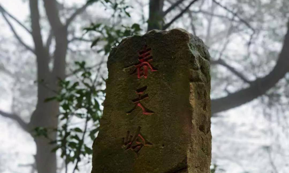 “南山跑山王榜”3月测试赛