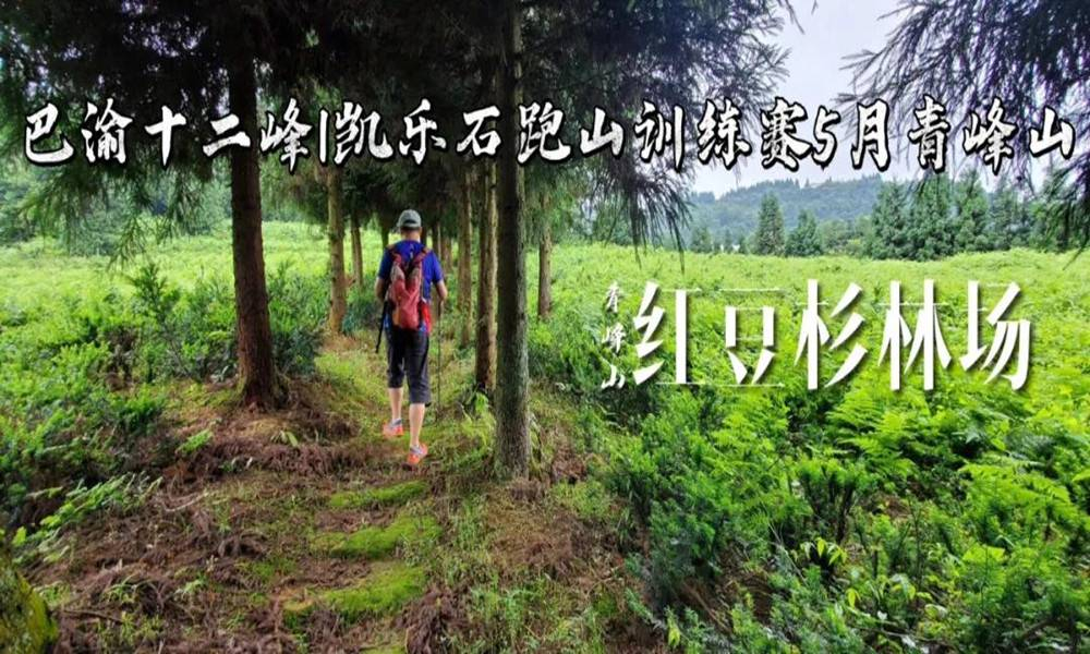 巴渝十二峰|凯乐石跑山训练赛5月青峰山越野赛