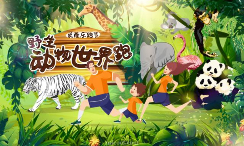 2020长隆野生动物世界跑