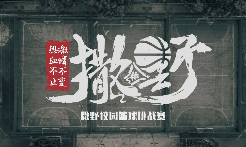 撒野集结