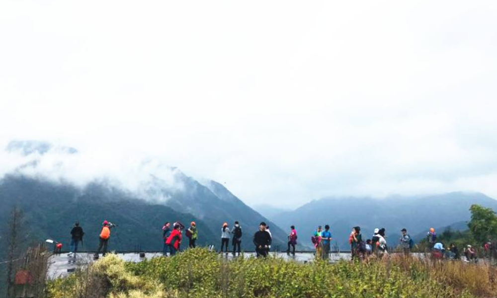 山间花，梯上茶，春访四明山步户外4月6号四明山活动招募
