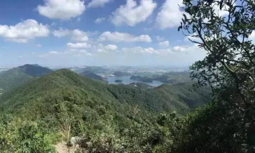 2019萨洛蒙城市越野跑上海站（MC出品）九龙湖拉练