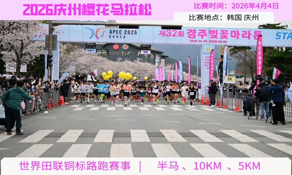 2026年庆州樱花马拉松·直通名额