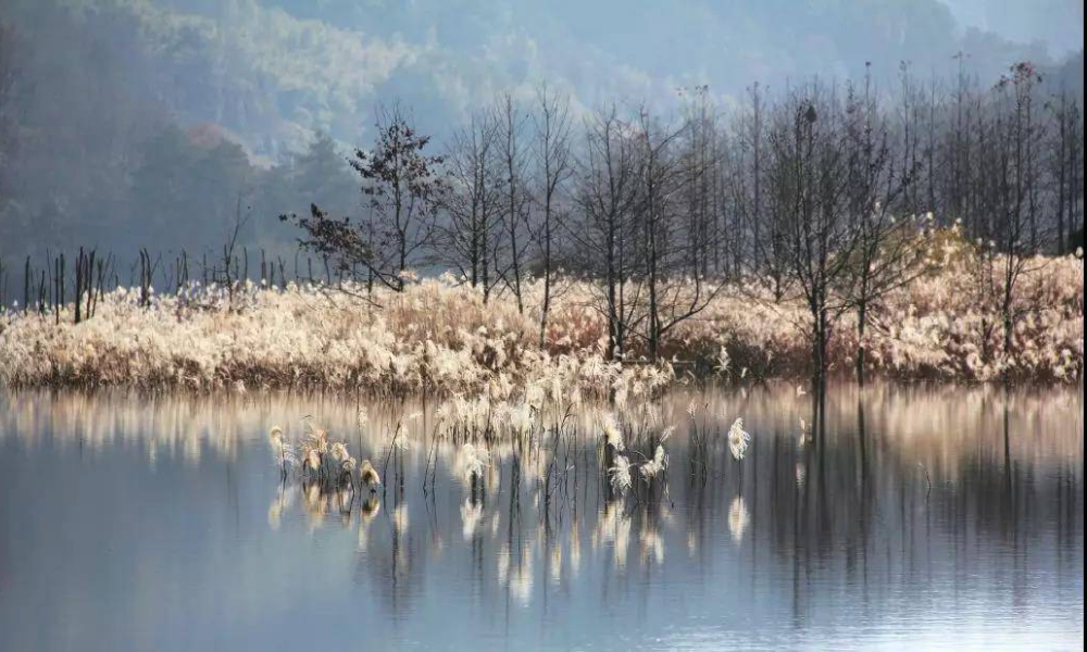 黄山太平湖村跑