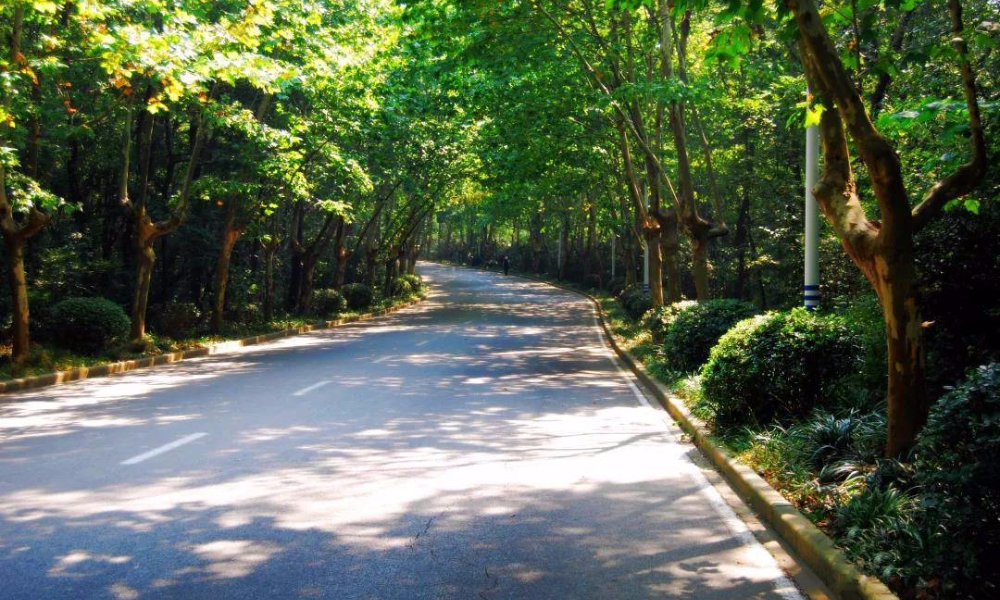 凯乐石跑山帮训练赛（南京站）7月赛
