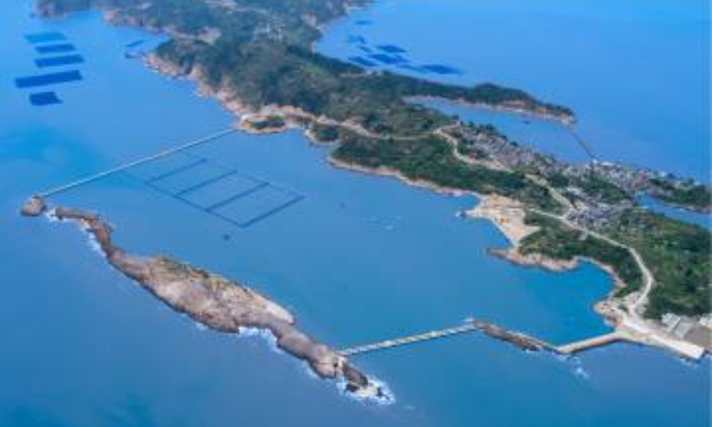 鹿西乡首届海岛旅游文化节开幕式暨“海岛振兴”欢乐跑