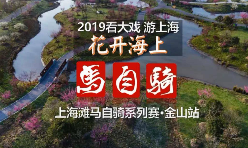 2019 花开海上·上海滩马自骑系列赛·金山站