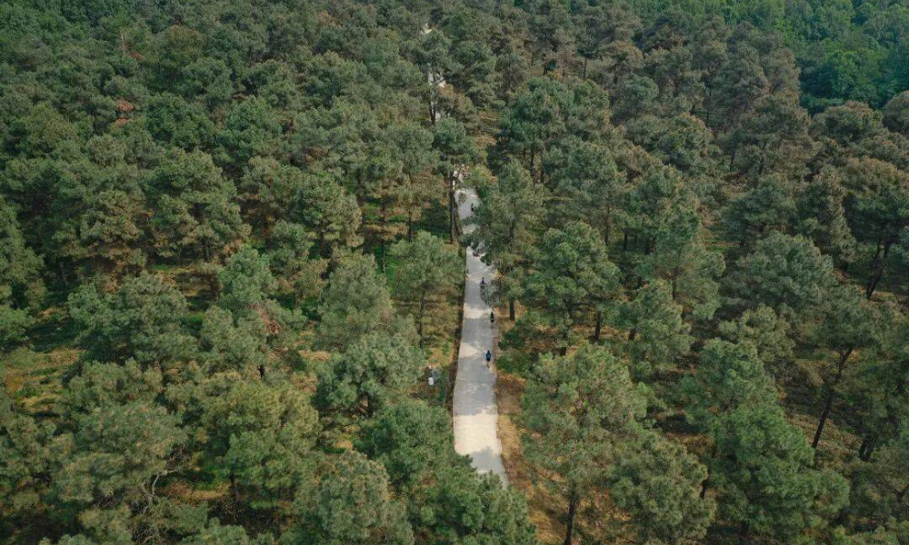 GO野社区赛·南京老山