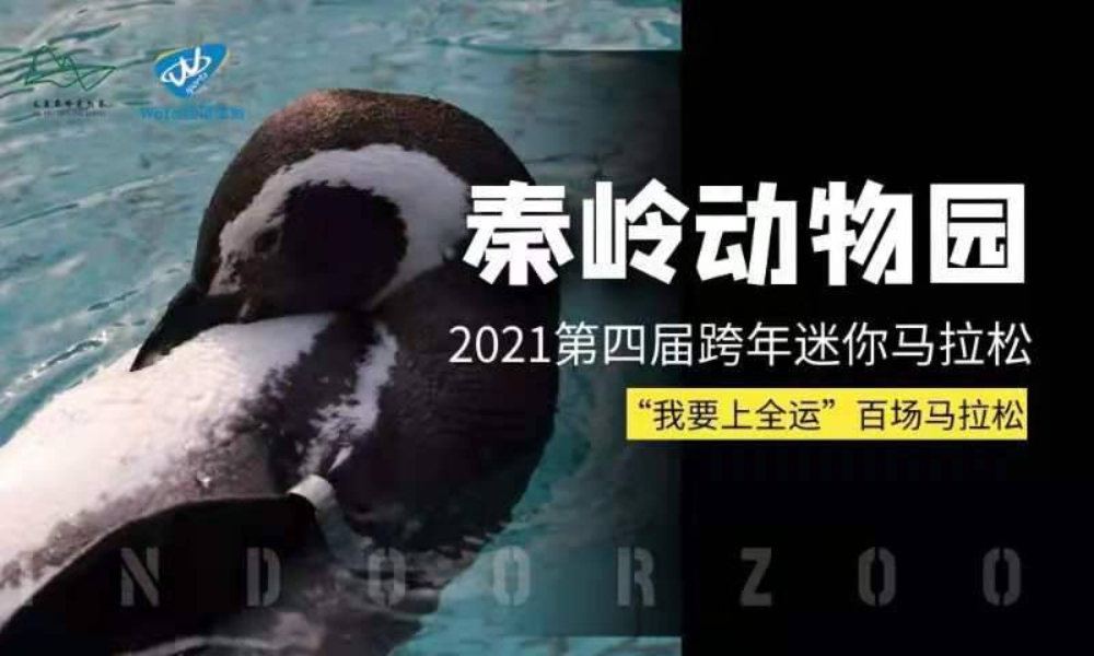 “我要上全运”百场马拉松·2021西安秦岭野生动物园跨年迷你马拉松（取消）