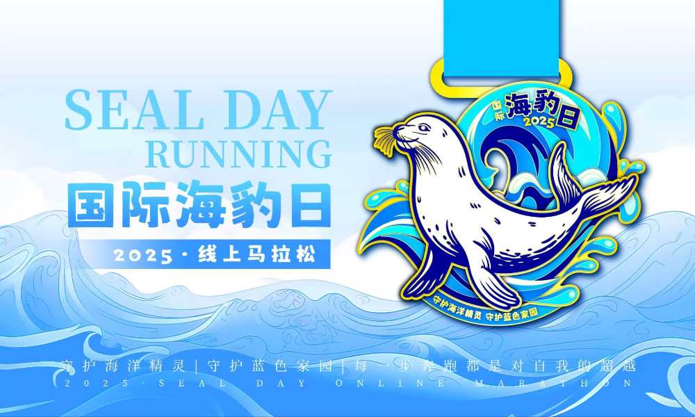 2025国际海豹日线上马拉松（跑遍城市）
