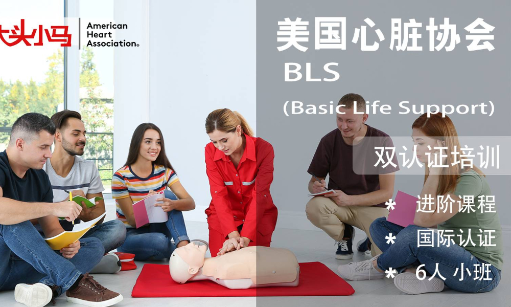 AHA-BLS双认证课程11月班
