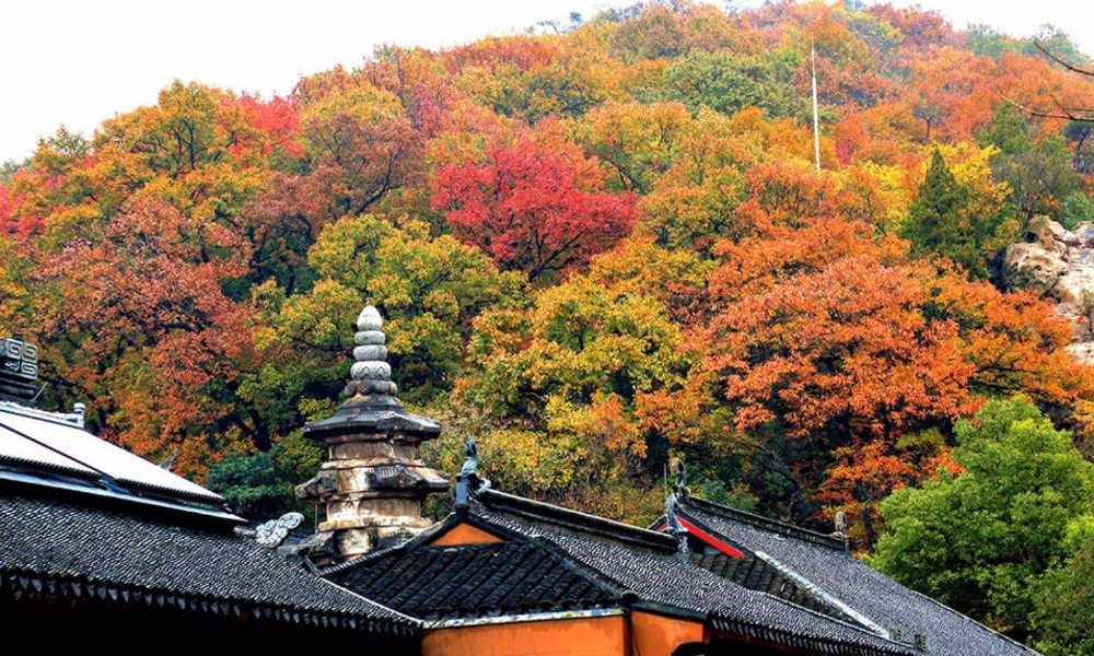 2018年江苏省“秋栖霞”登山大赛
