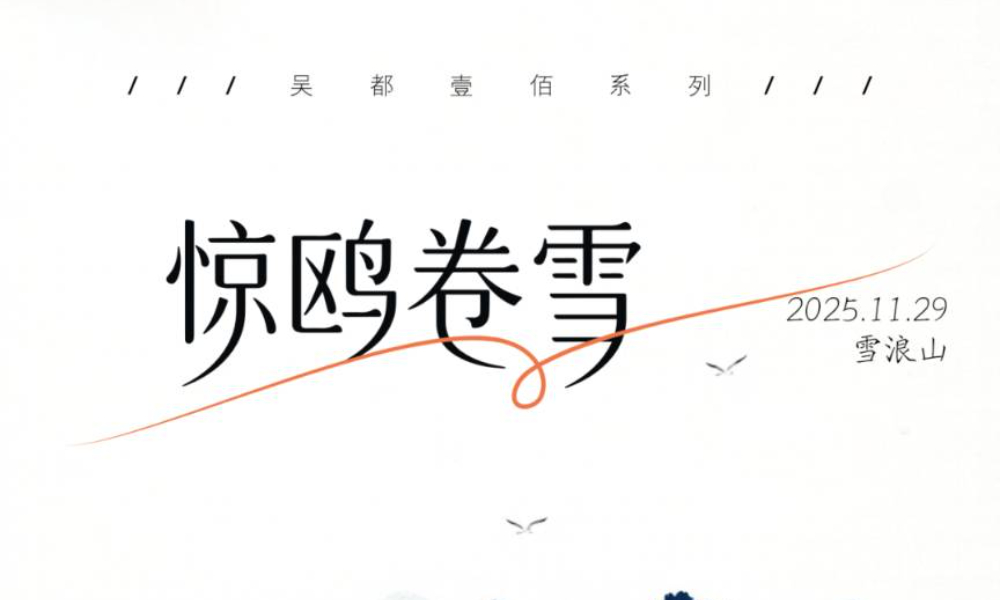 踏雪而来，逐浪而归 | 惊鸥卷雪