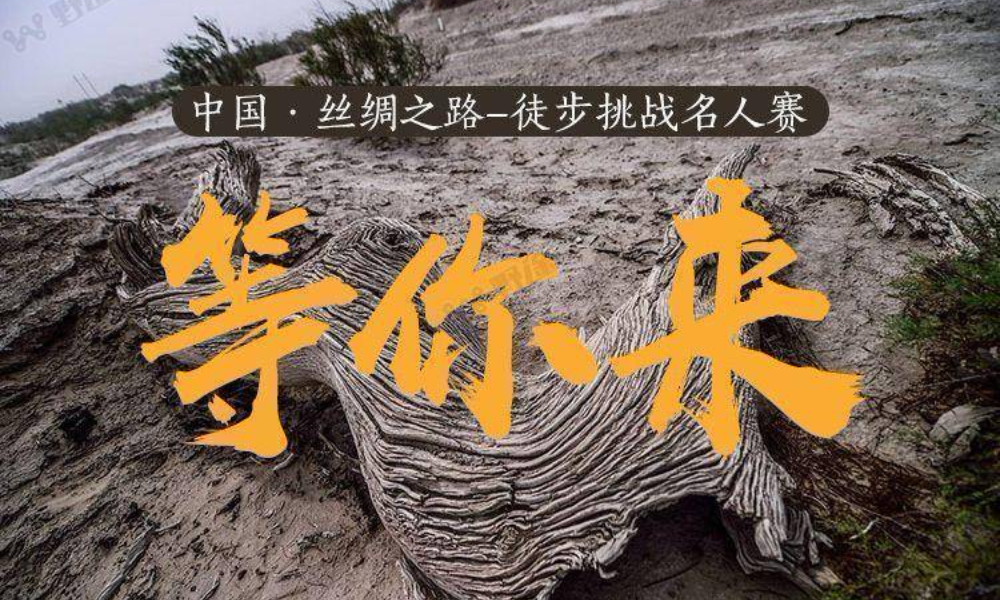 中国丝绸之路徒步挑战名人赛