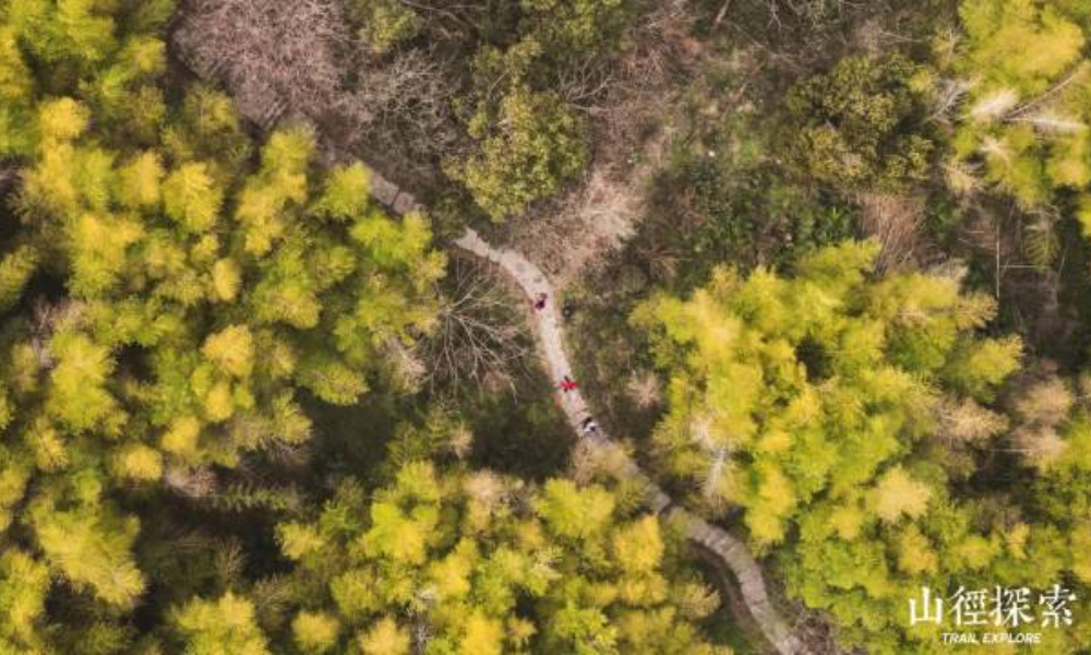 Trail Explore 山径探索 | 寻找春天的原谅色「盘它绿色动力」 