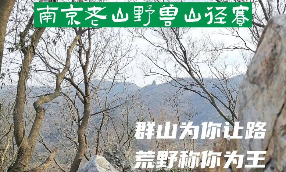 2026南京老山野兽山径赛