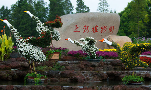 上海植物园公益跑