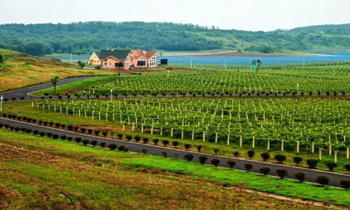 第四届中国南京多彩竹镇自行车公开赛