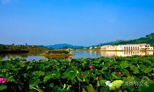 2016年“泰山冠军”中国泰山登山大奖赛