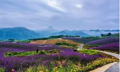 2016遵义桐梓乡村越野跑