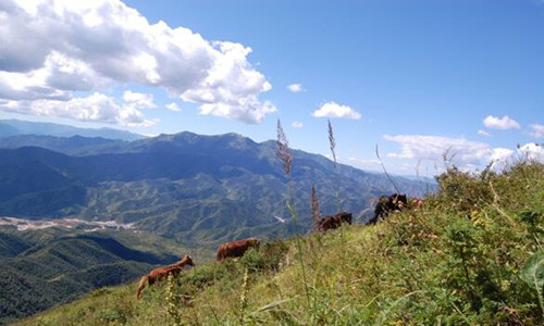 爱北京.爱灵山——挑战北京之巅灵山夏季越野赛