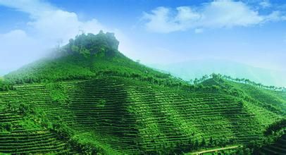 遂川南江乡首届旅游文化节暨鹅峰山地自行车爬坡邀请赛