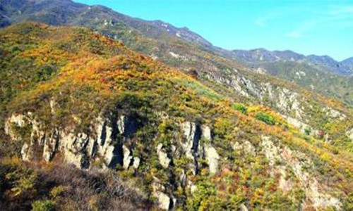 北京爱江山越野跑成长系列赛@凤凰岭