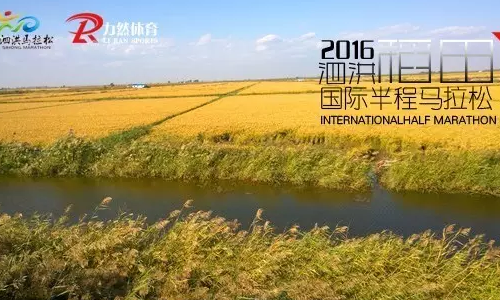 2016泗洪稻田国际半程马拉松