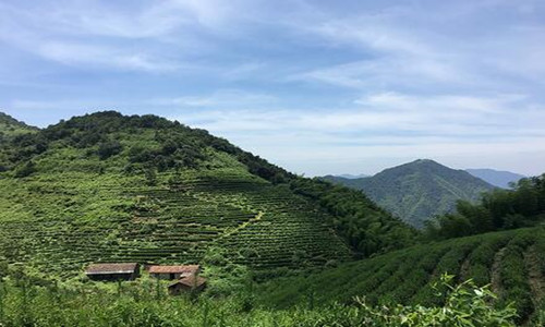 第二届戴村越野赛