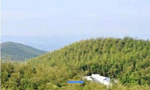 蔡伦竹海骑行（1日行程）