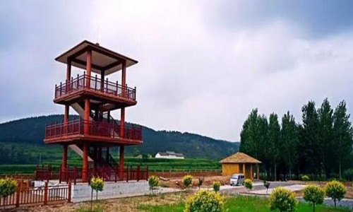 “七“行路上，“夕”望有你——历山风景区骑行活动