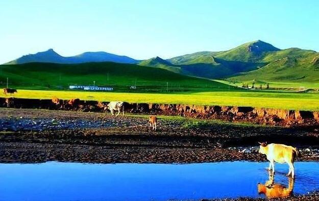 中国·额济纳环胡杨林国际自行车邀请赛