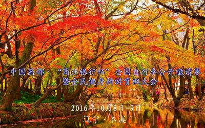 中国药都“商业银行杯”全国自行车公开邀请赛