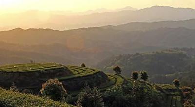 2016中国·普洱茶马古道第二届山地自行车大赛