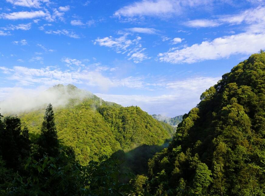 古蔺首届半程马拉松