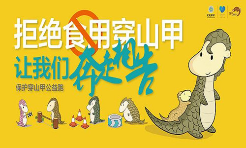 2016保护穿山甲公益跑