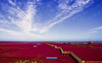 盘锦红海滩 游九门口长城 走神奇天路 笔架山