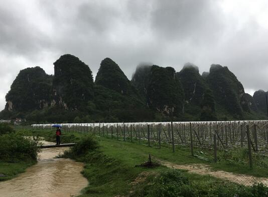 乳源大峡谷 小桂林英西峰林徒步（2日行程）