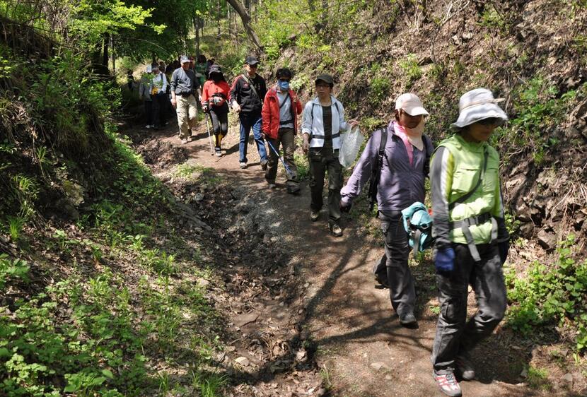 2016年第三届樟树市“阁皂山体彩杯·登山健步行”