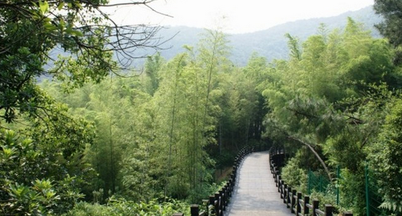2016年 “农行杯”苏州美丽乡村健康跑（树山站）