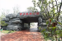 首届“伊森半程马拉松”