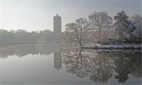 北京大学站暨第23届北京大学冬季越野跑赛
