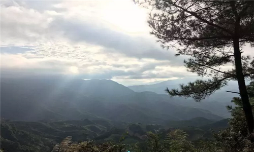 2017福建（华安）千亩梯田国际山地马拉松赛