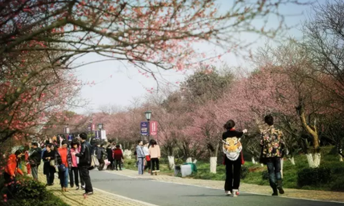 超山毅行大会