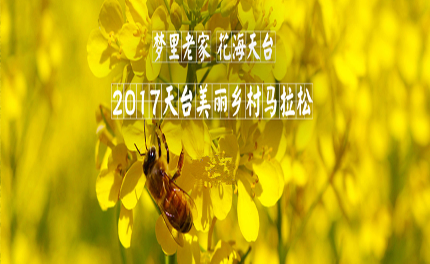 “顾家家居杯”2017天台美丽乡村马拉松