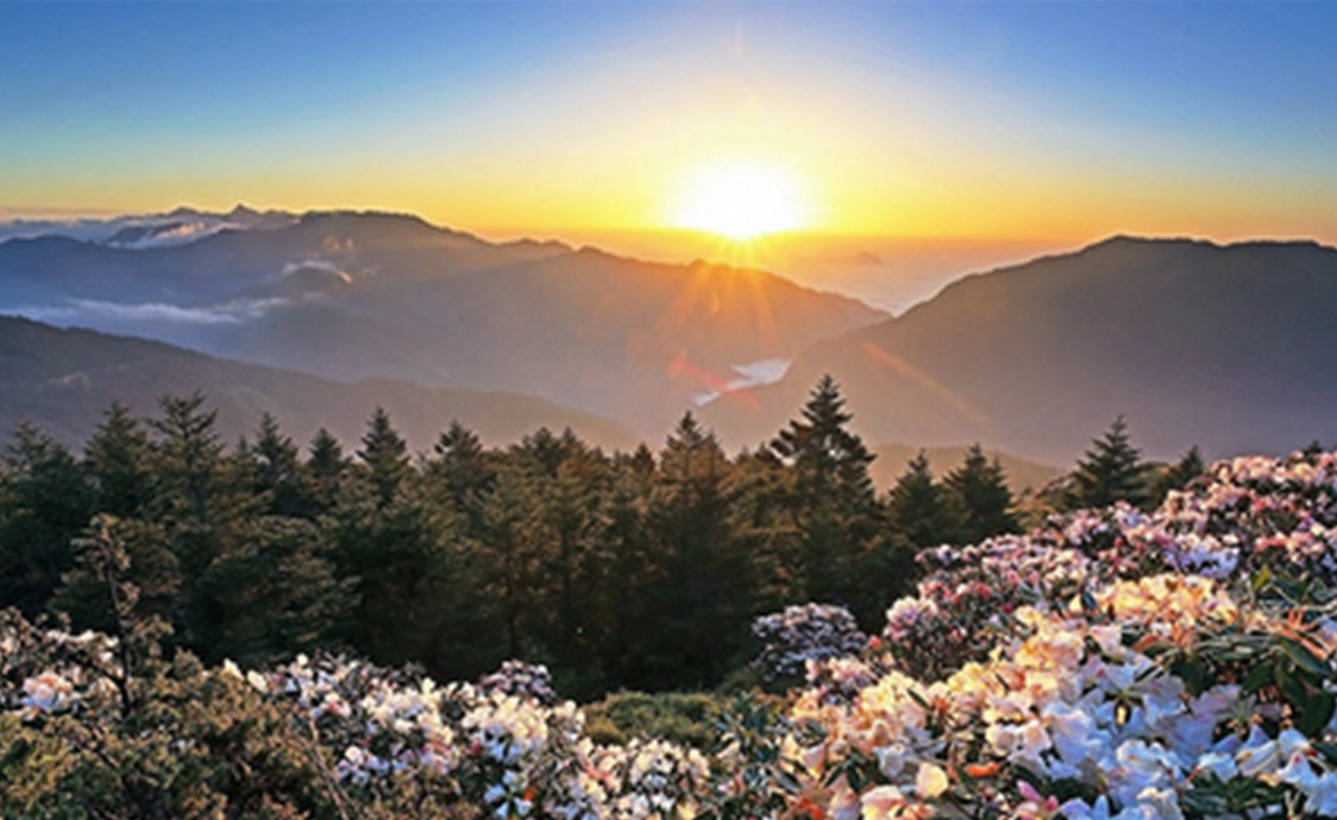 UTFT 霞客足迹东黄山50KM ECO Trail超级越野