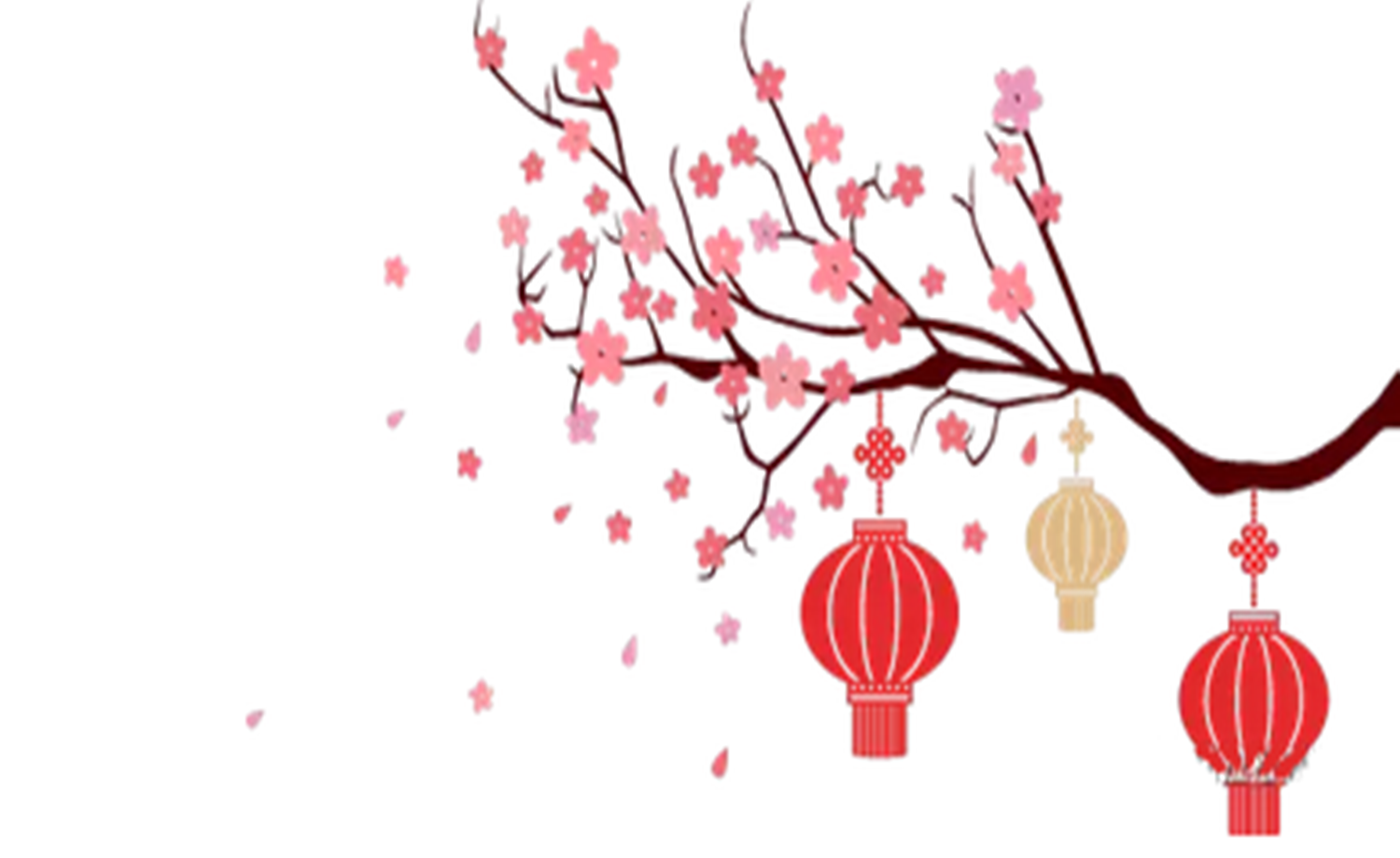 第二届“双脚丈量嘉定 百公里献爱心”