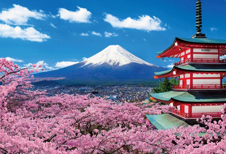 富士山忍野山地马拉松
